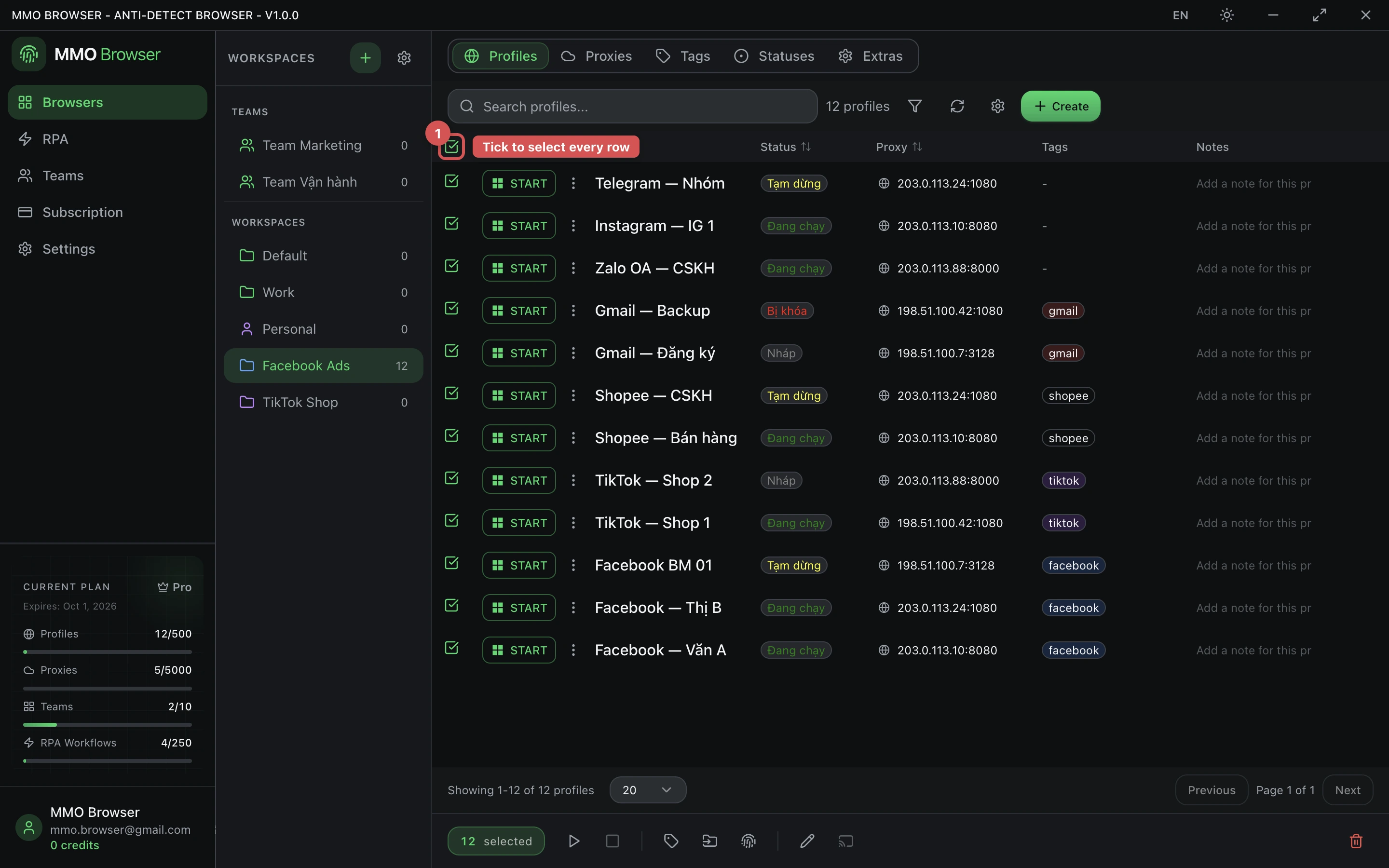 The profile list with all twelve rows selected and the bulk action bar active along the bottom.