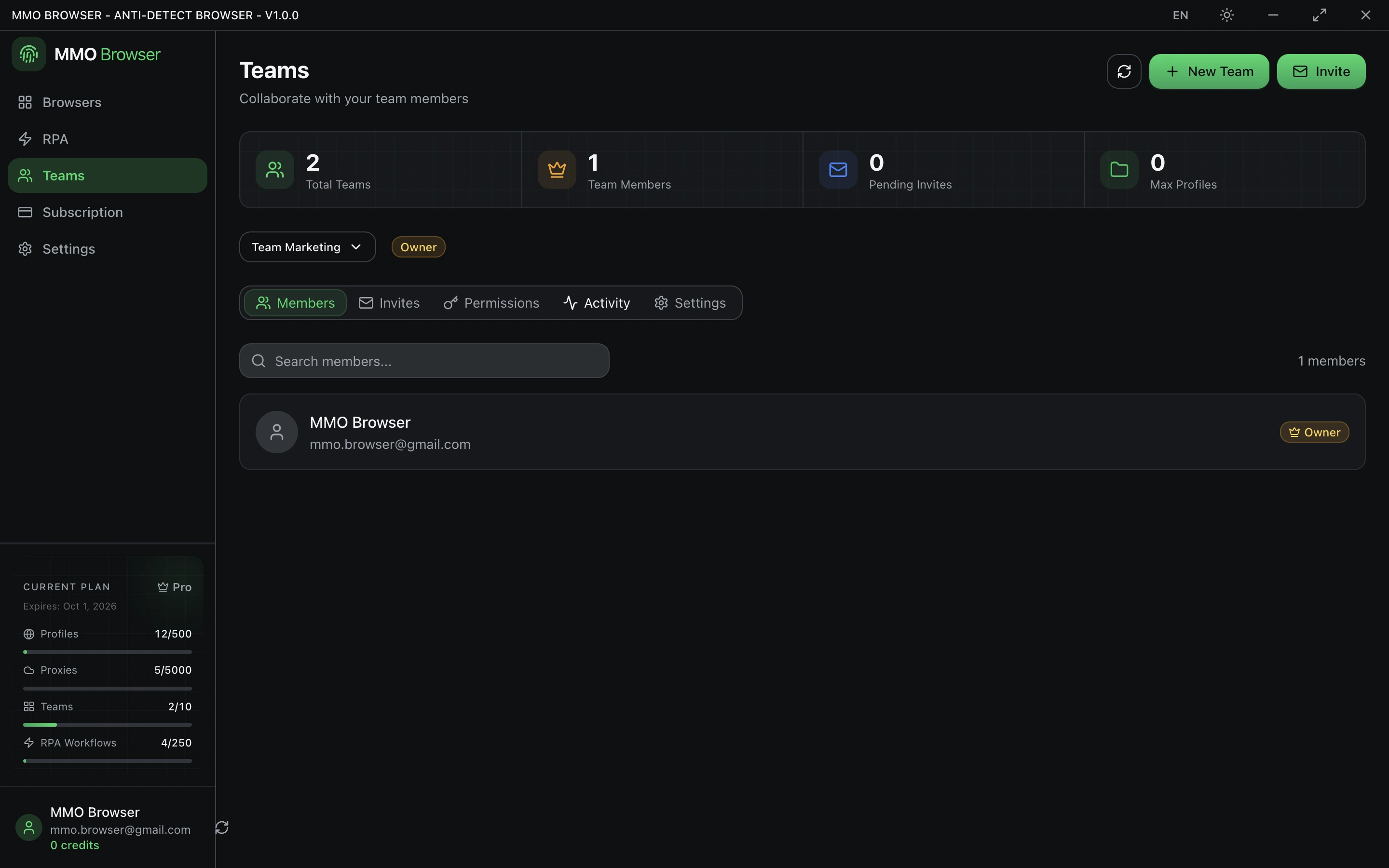 The Teams screen showing a team, its member list and the invite button.